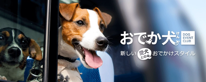 ECサイト「おでか犬」